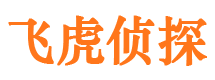 大东市场调查